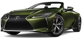 Image result for Nori Green 2023 LC