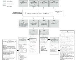 structure of the world health organization who download