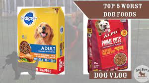 Learn about the worst dog food brands and discover the best dog foods of 2021 to ensure your furry friend is getting list of best and worst dog food brands. The 5 Worst Dog Foods Dog Food Dog Wellness Dogboy S Dogvlog Youtube