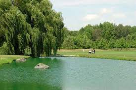 #8 is considered the course's signature hole, featuring a narrow and wooded downhill fairway, with a … Punderson State Park Golf Course Ohio Department Of Natural Resources
