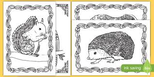 Sonic the hedgehog coloring pages coloring pages sonic the hedgehog coloring pageskateboarding for. Autumn Animals Mindfulness Colouring Pages Teacher Made