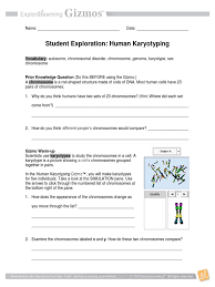 Paper karyotyping activity, karyotyping worksheet answers smear 3, karyotyping activity university of arizona, student exploration human karyotyping answer sheet, human karyotyping activity answer key pdf book manual, human karyotyping activity worksheet. Human Kar Yo Typing Se Karyotype Chromosome