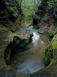 Get details of location, timings and contact. Little Grand Canyon Trail A Gem In Shawnee National Forest