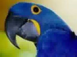 Pin En Aire Tierra Mar Naturaleza Creacion