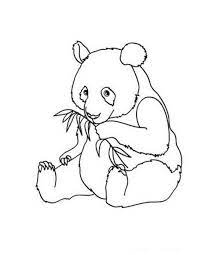 Panda Coloring Pages Panda Coloring Pages Bear Coloring Pages Animal Coloring Pages