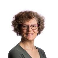 50+ "Eleanor Stein" profiles