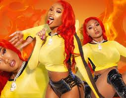 This is her in her todoroki cosplay from mha. Megan Thee Stallion Projects Photos Videos Logos Illustrations And Branding On Behance