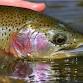 Try it! Youth Fishing (Ages 17 and Under)