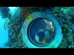 What It S Like To Live In America S Space Station Under The Sea Ocean Conservation Ocean Fun What Is Like