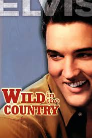 Elvis: The Memphis Flash (2005)