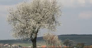 Jozef gasparovic (7.) ~ reserve: Bergfex Schrattenberg Urlaub Schrattenberg Reisen Schrattenberg