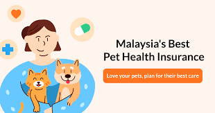 Everything we do is driven from our love of animals and our commitment to pet health. Oyen For Cats Best Health Insurance For Your Kitty