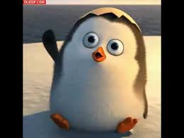 Descargar serie los pinguinos de madagascar temporada 3 completo mega. Hola Los Pinguinos De Madagascar Cabo Nase Youtube