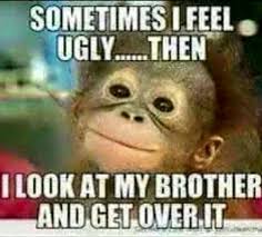 Pin On Funny