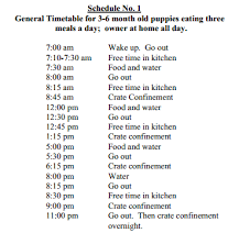 How much water should a puppy be given each day? Housebreaking A Puppy A Time Proven Potty Training Method Dreamydoodles Northwest Puppy Training Schedule House Training Puppies Puppy Crate