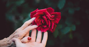 Hatta kendiniz bile, kredi kartını kullanmak istemediğiniz dönemlerde bankanızı arayarak kartın kullanıma kapatılmasını talep edebiliyorsunuz. O Que E O Amor Paulo Borges