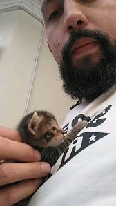 Cerdá-Reyes luthiers