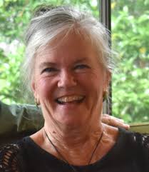 Black Mountain Town Council 2024 election Q&A — The Valley Echo