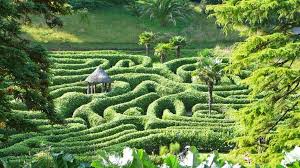 Bei uns finden sie fast alles, was in ihrem garten früchte trägt. Ihr Gruner Garten Muss Naturlich Gut In Form Sein Trendomat Com
