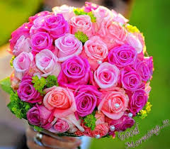 Best free good morning images , flower hd new good morning photo download , good morning pics wallpaper for facebook. Good Morning Rose Wallpapers Wallpaper Cave