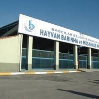 Bagcilar Belediyesi Hayvan Barinagi