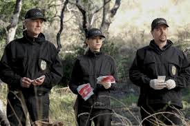 Et marc est très sage. Photos De Ncis Enquetes Speciales Saison 17