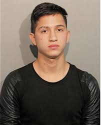 ᐅ Illinois Criminal Records 2009-2025