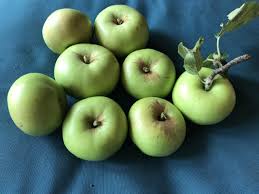 Image result for Apple Green 1956 Fruehauf