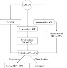 Figure 2 Flow Chart Of Ct Texture Analysis And Synthesis Of