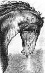 War Horse Horse Drawings Equine Art War Horse
