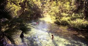 Things to do near wekiwa springs state park. A Guide To Central Florida S Best Lakes And Springs