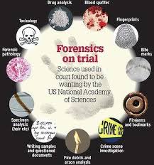 Tainted Evidence Science In The Dock Forensic Science Science Classroom Decorations Forensics