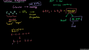 In this reaction, glucose and oxygen are reactants, while water, carbon dioxide and energy (atp) are products. Cellular Respiration Introduction Biology Video Khan Academy