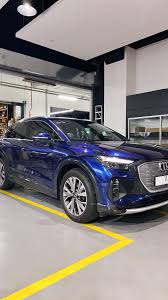 Image result for Navarra Blue 2025 Q4