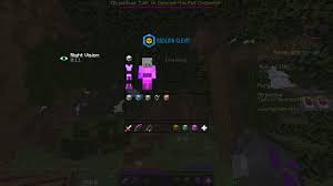 Starting out as a youtube channel making minecraft adventure maps, hypixel is now one of the largest and highest quality minecraft server . How Do I Fix The Transparency Problem In Hypixel Skyblock I Think Involves A Bac Mod Hypixel Minecraft Server And Maps