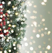 Download Christmas Tree Background With Bokeh Lights For Free Amazing Christmas Trees Christmas Tree Background Christmas Photography Backdrops