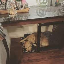 Diy Project Converted A Built In Desk Into A Dog Crate Cost About 60 Forgive The Color Mismatch Used The Stain I H Diy Dog Stuff Dog Crate Diy Dog Crate