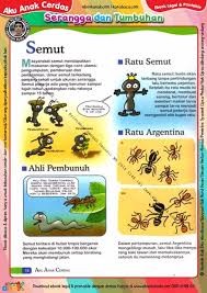 Triplek ukuran p = 20 cm l = 20 cm 4 buah bahan 1. Ebook Legal Dan Printable Aku Anak Cerdas Serangga Dan Tumbuhan 1 Ratu Semut 18 Ebook Anak
