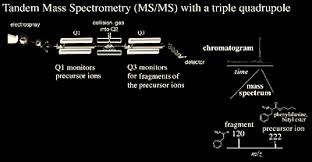 An ion source, a mass analyzer, and a detector system. Mass Spectrometry Basics