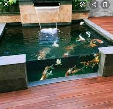 Harga batu alam pinggir / tepi / bibir kolam renang. Batu Alam Kolam Minimalis Koi Facebook