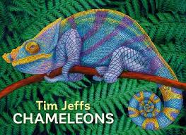 tim jeffs chameleons boxed notecard assortment