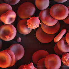Image result for scientific photography