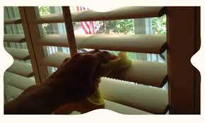 افضل مؤسسة تنظيف بالدمام 200 ريال تنظيف الكنب 0532882215 شركة الريان easy healthy food and drink home decor pictures