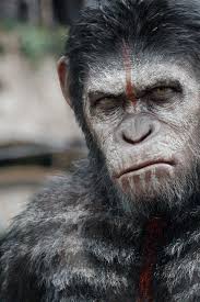 Dawn Of The Planet Of The Apes Full Movie 2014 Andy Serkis As Caesar In Dawn Of The Planet Of The Apes 2014 Animal Planet Planet Of The Apes Dawn Of The Planet