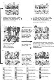 Image result for Argomuellera