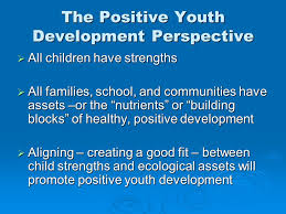 Image result for positive youth development