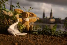 Erstellt am juli 15, 2011 von mentelly. 20 Armer Hase Ideen Hase Arm Kap Der Guten Hoffnung