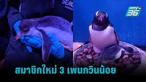 Check spelling or type a new query. Suiqqep6r04evm