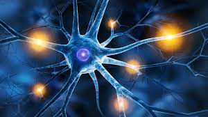 Polyneuropathie Symptome Und Behandlung Ndr De Ratgeber Gesundheit