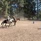 "Precision and Partnership" Horsemanship Clinic